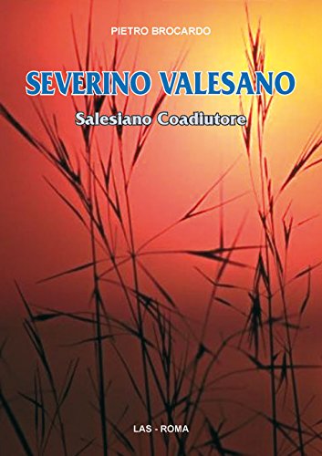 Severino Valesano. Salesiano coadiutore (Spirito e vita, Band 34) Politics & Society