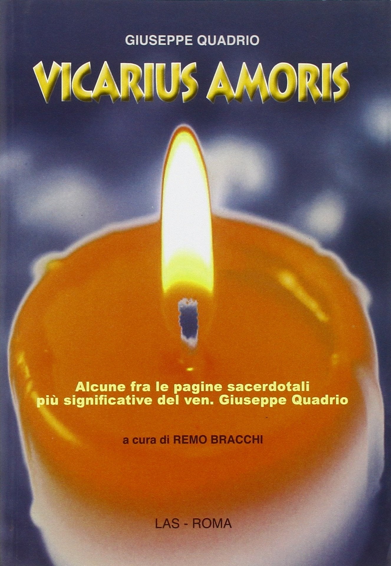 Vicarius amoris. Alcune fra le pagine sacerdotali più significative del ven. Giuseppe Quadrio (Spirito e vita, Band 45) Religion & Esotericism