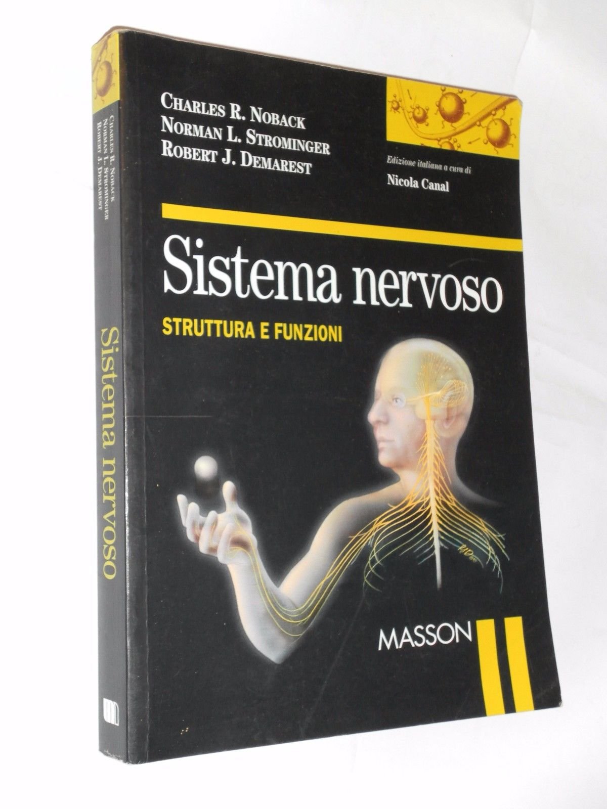Sistema nervoso. Struttura e funzioni book