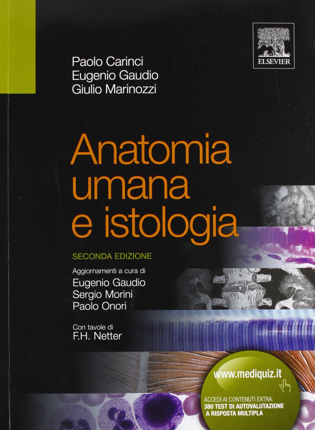Anatomia umana e istologia Medicine