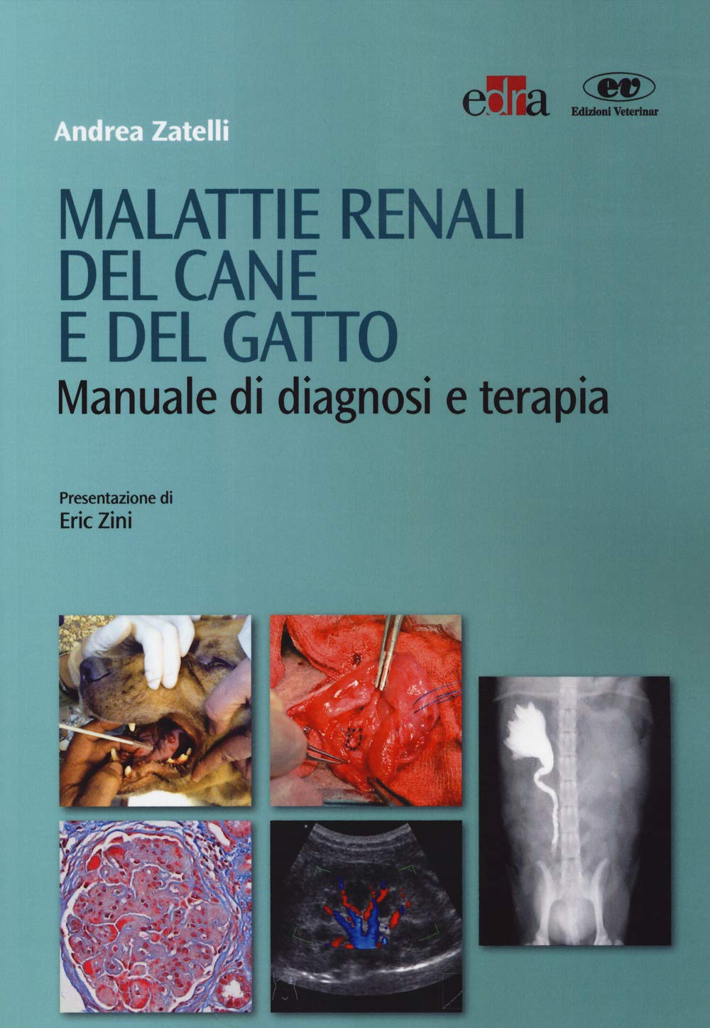 Malattie renali del cane e del gatto. Manuale di diagnosi e terapia book