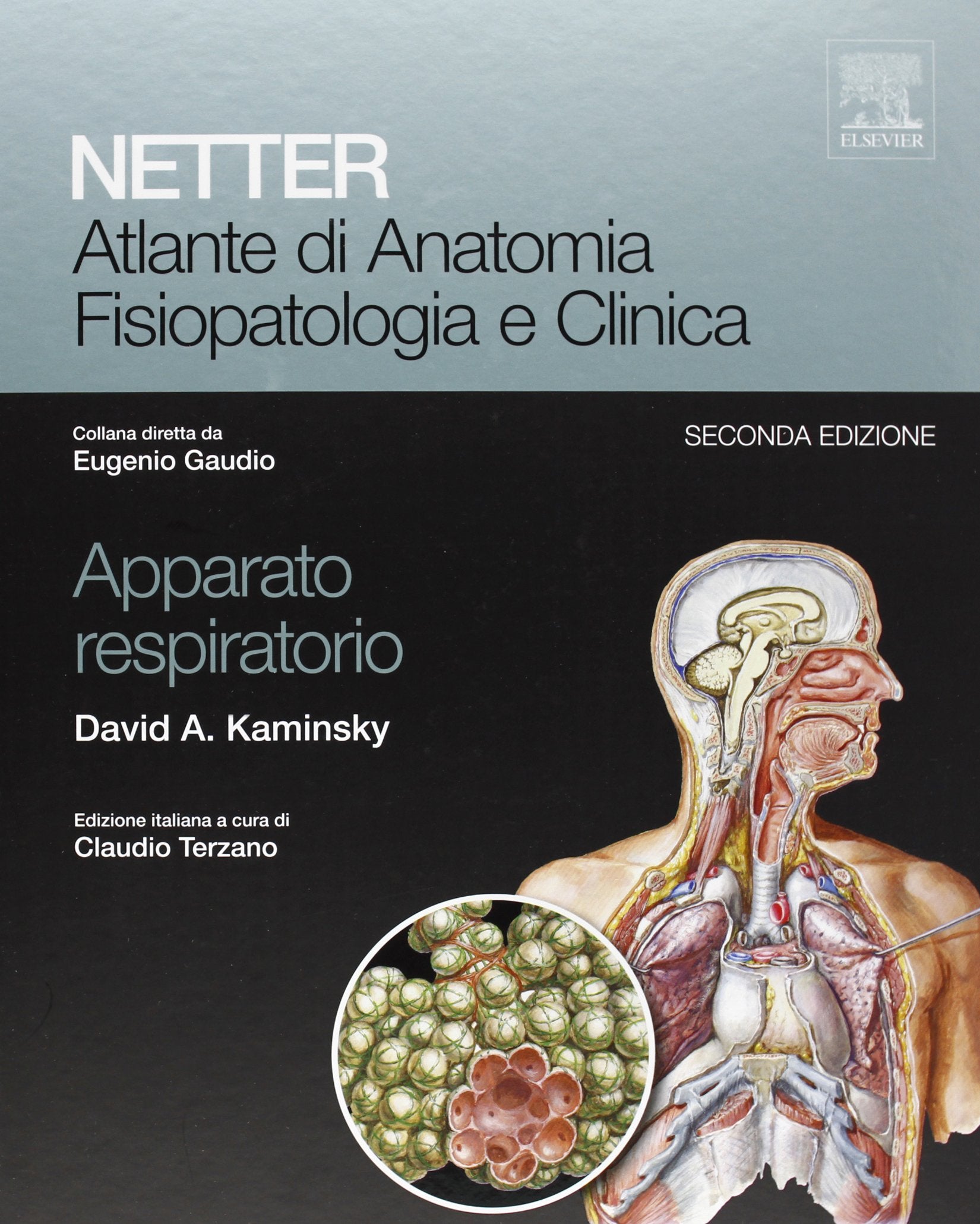 Netter. Atlante di anatomia fisiopatologia e clinica. Apparato respiratorio book