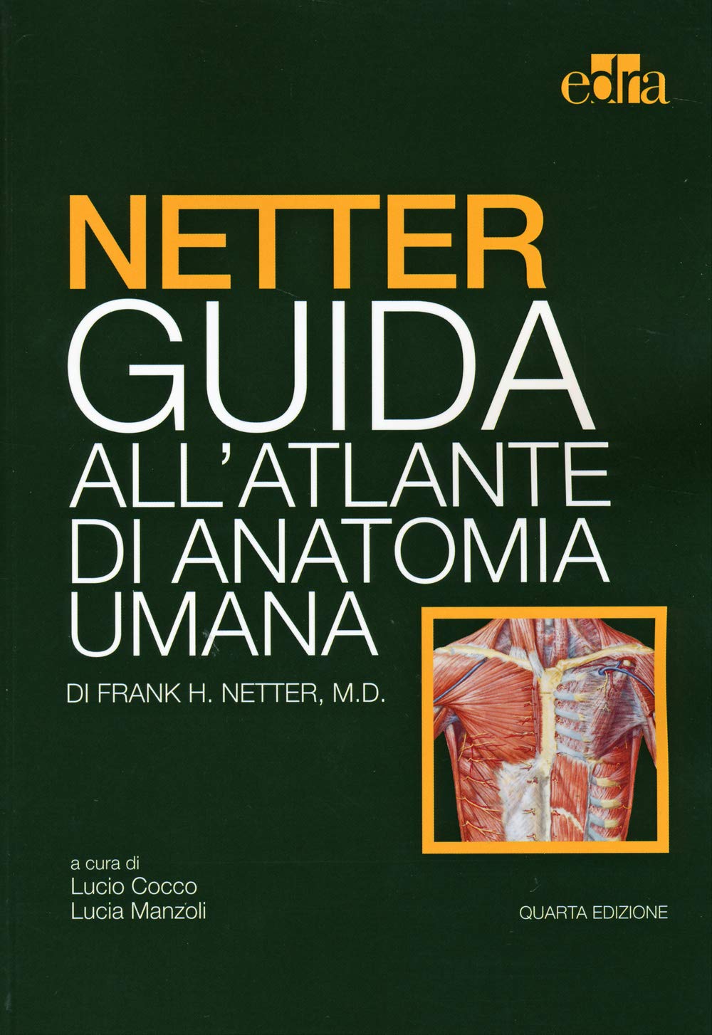 Netter. Guida all'atlante di anatomia umana Medicine