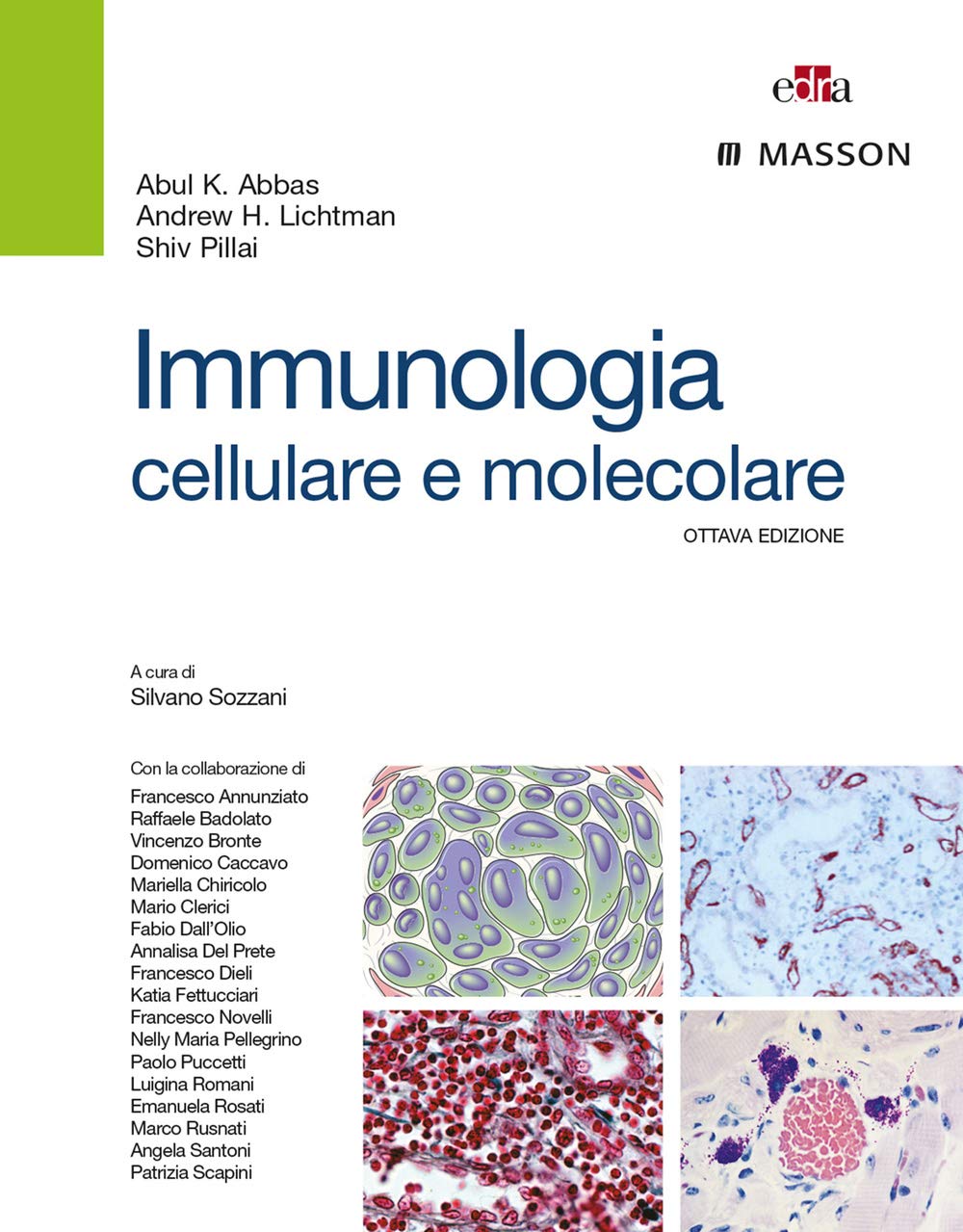 Immunologia cellulare e molecolare. Ediz. illustrata Medicine