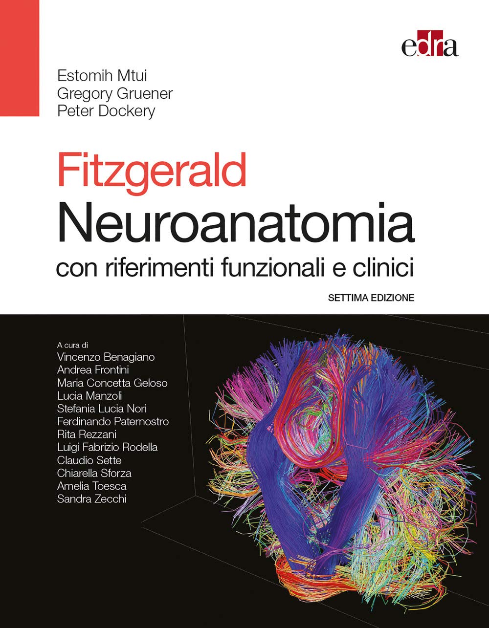 Fitzgerald. Neuroanatomia con riferimenti funzionali e clinici book