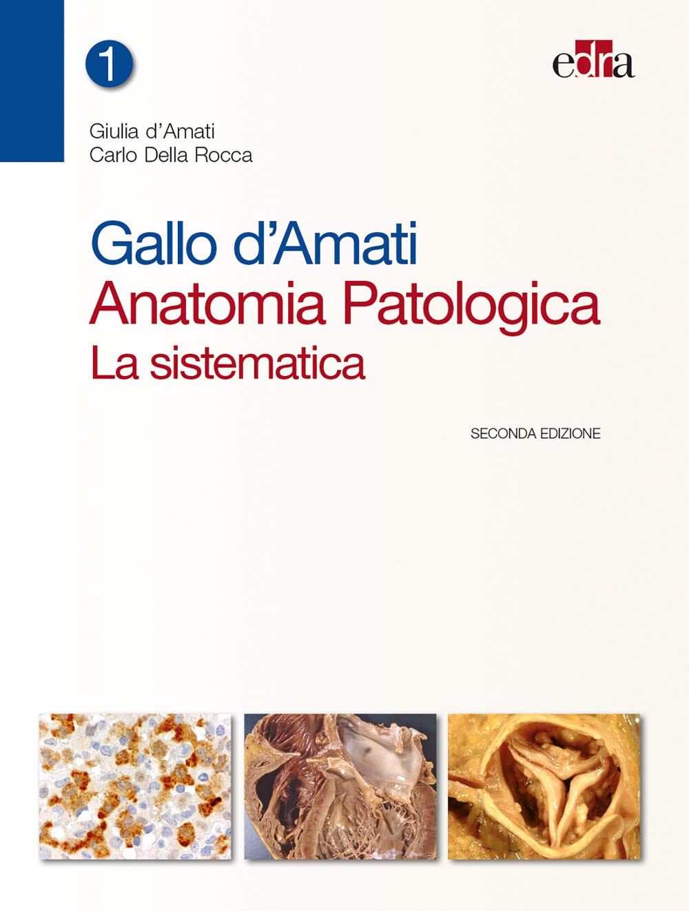 Gallo d'Amati. Anatomia patologica. La sistematica Medicine
