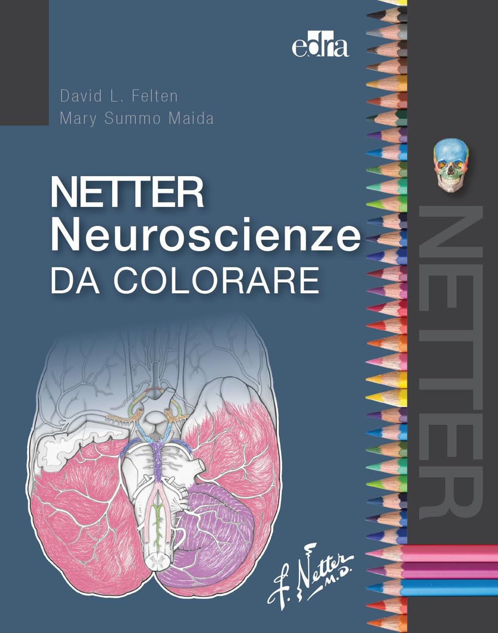 Netter neuroscienze da colorare book