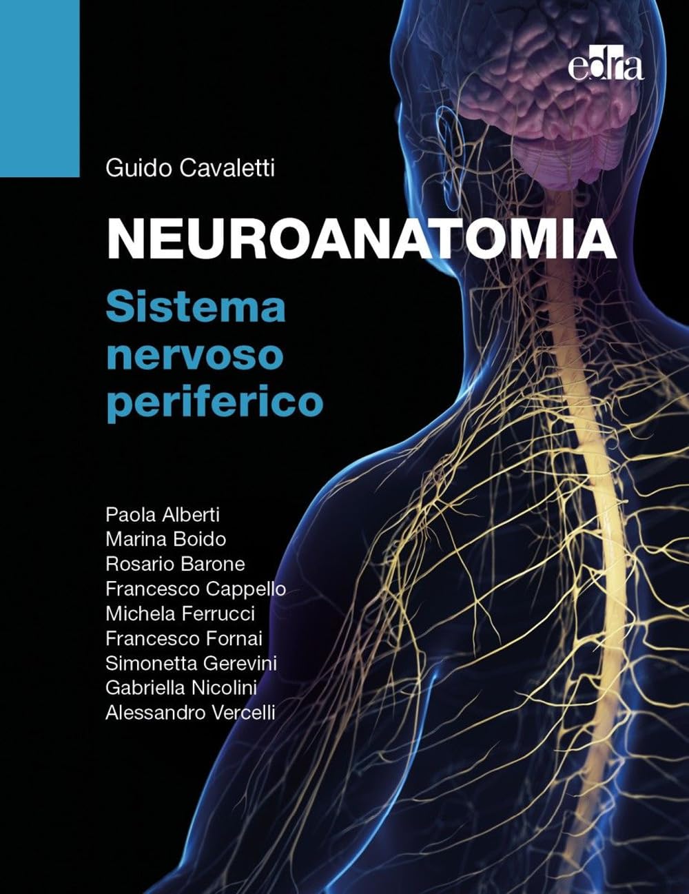 Neuroanatomia. Sistema nervoso periferico Medicine