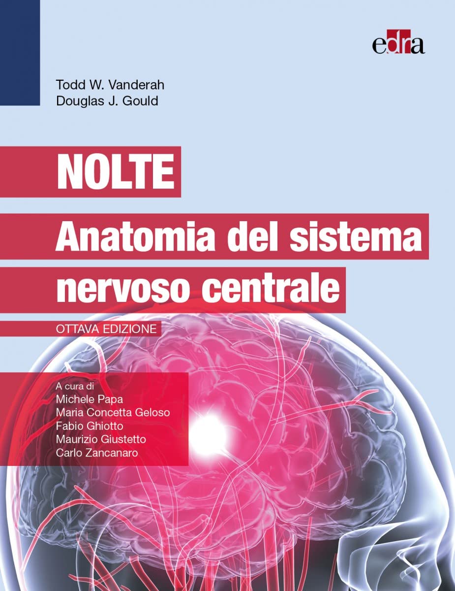 Nolte. Anatomia del sistema nervoso centrale Medicine