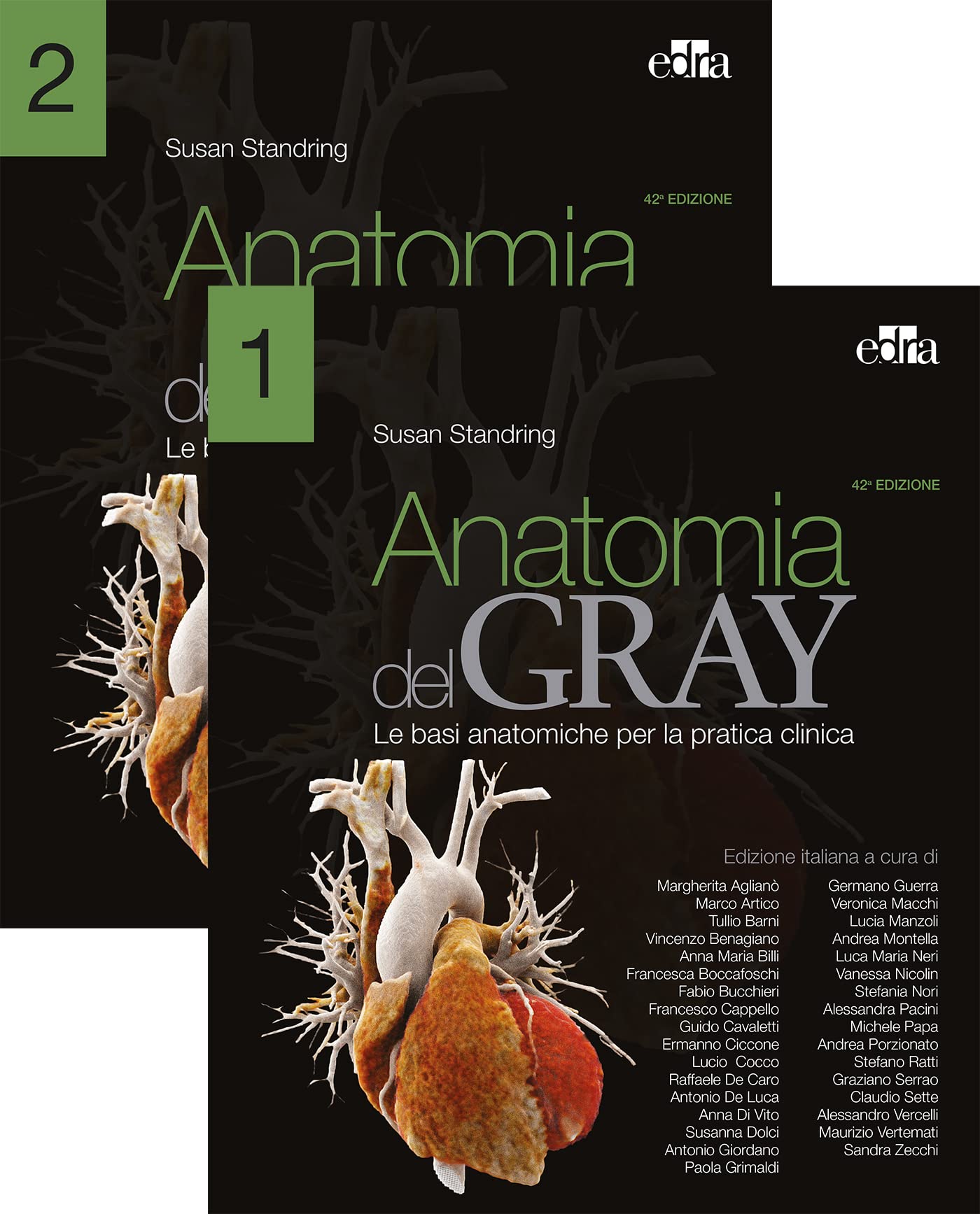 Anatomia del Gray. Le basi anatomiche per la pratica clinica (Vol. 1-2) book