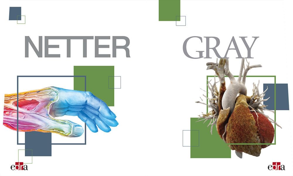 Netter Gray. L'anatomia: Anatomia del Gray-Atlante di anatomia umana di Netter book