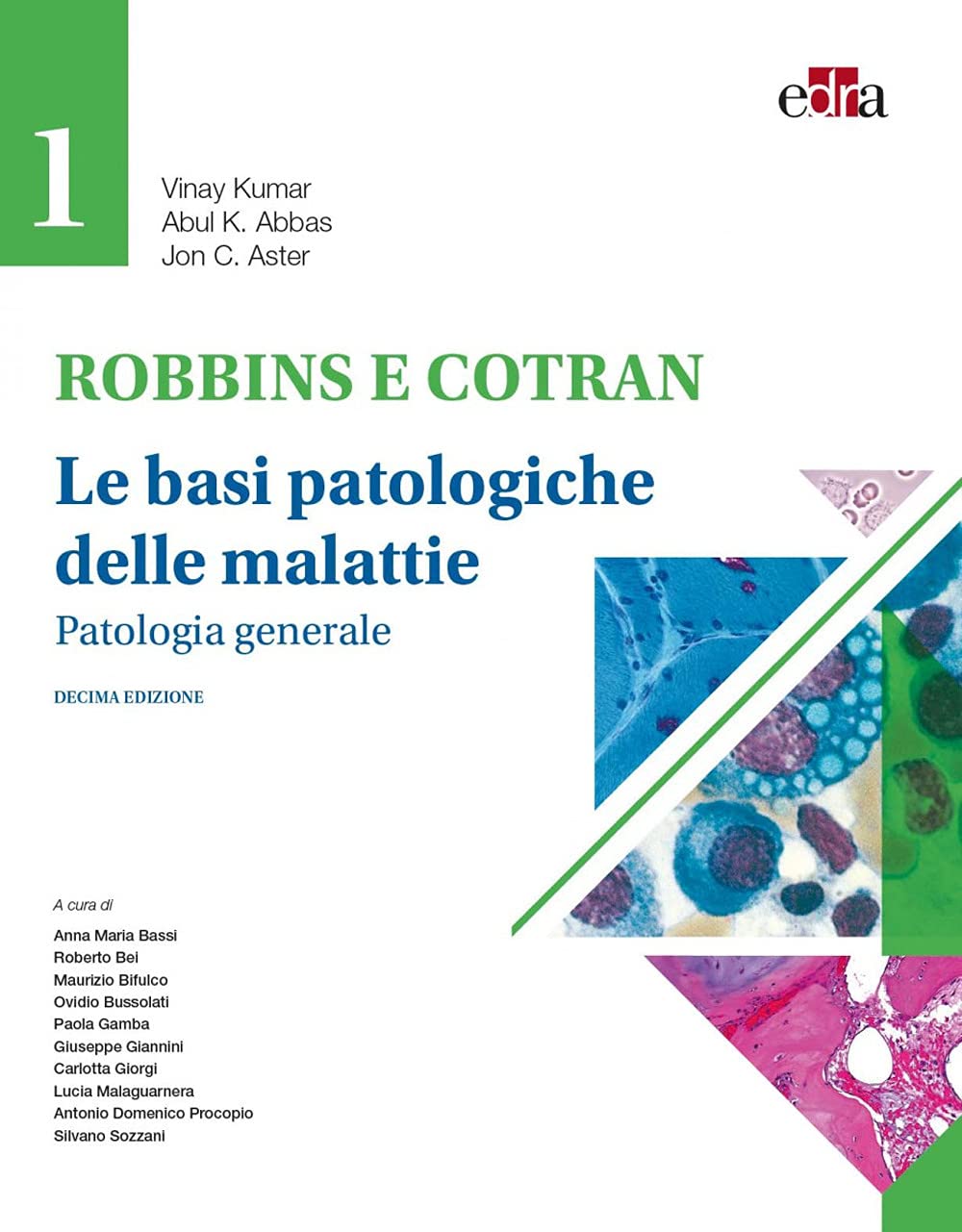 Robbins e Contran. Le basi patologiche delle malattie. Patologia generale (Vol. 1) book