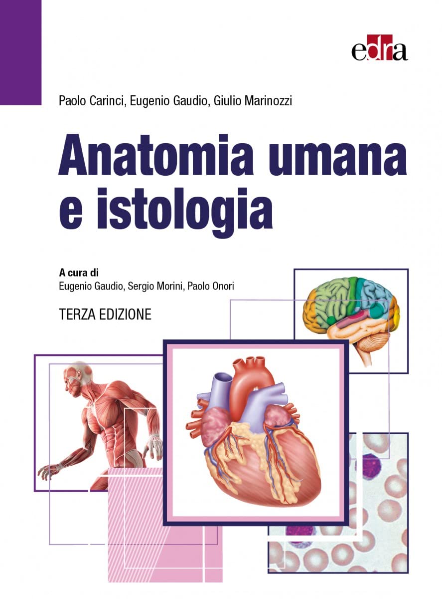 Anatomia umana e istologia Medicine