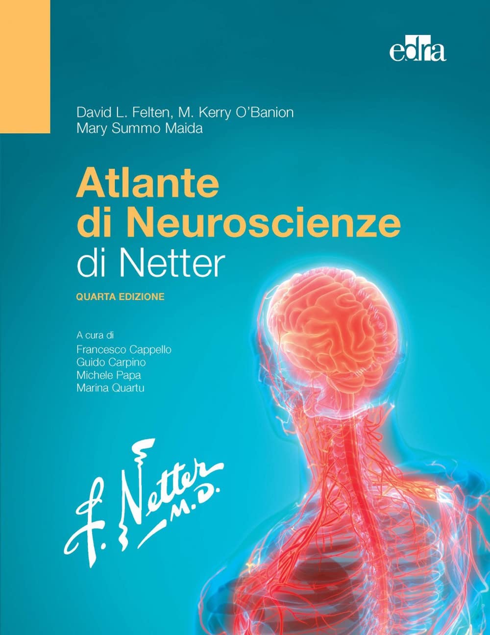 Atlante di neuroscienze di Netter book