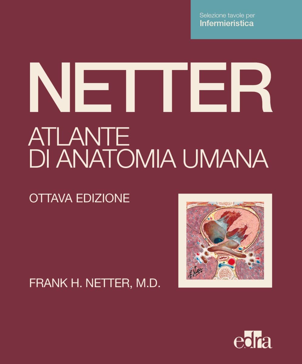 Netter. Atlante di anatomia umana. Scienze infermieristiche Medicine