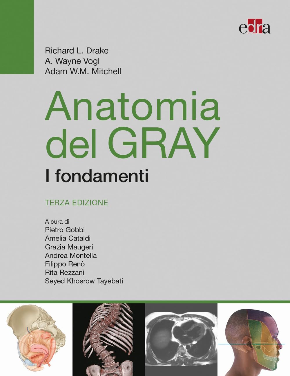Anatomia del Gray. I fondamenti Medicine