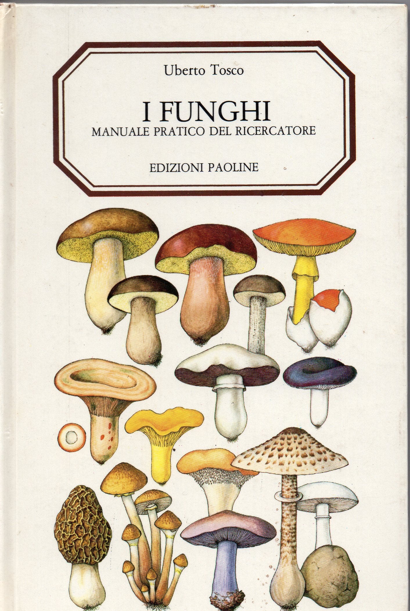 I funghi. Manuale pratico del ricercatore book