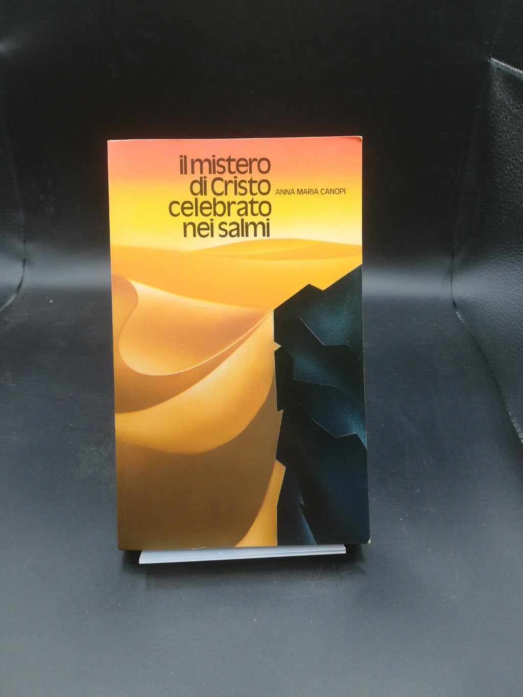 Il mistero di Cristo celebrato nei Salmi (Sul monte della presenza) book