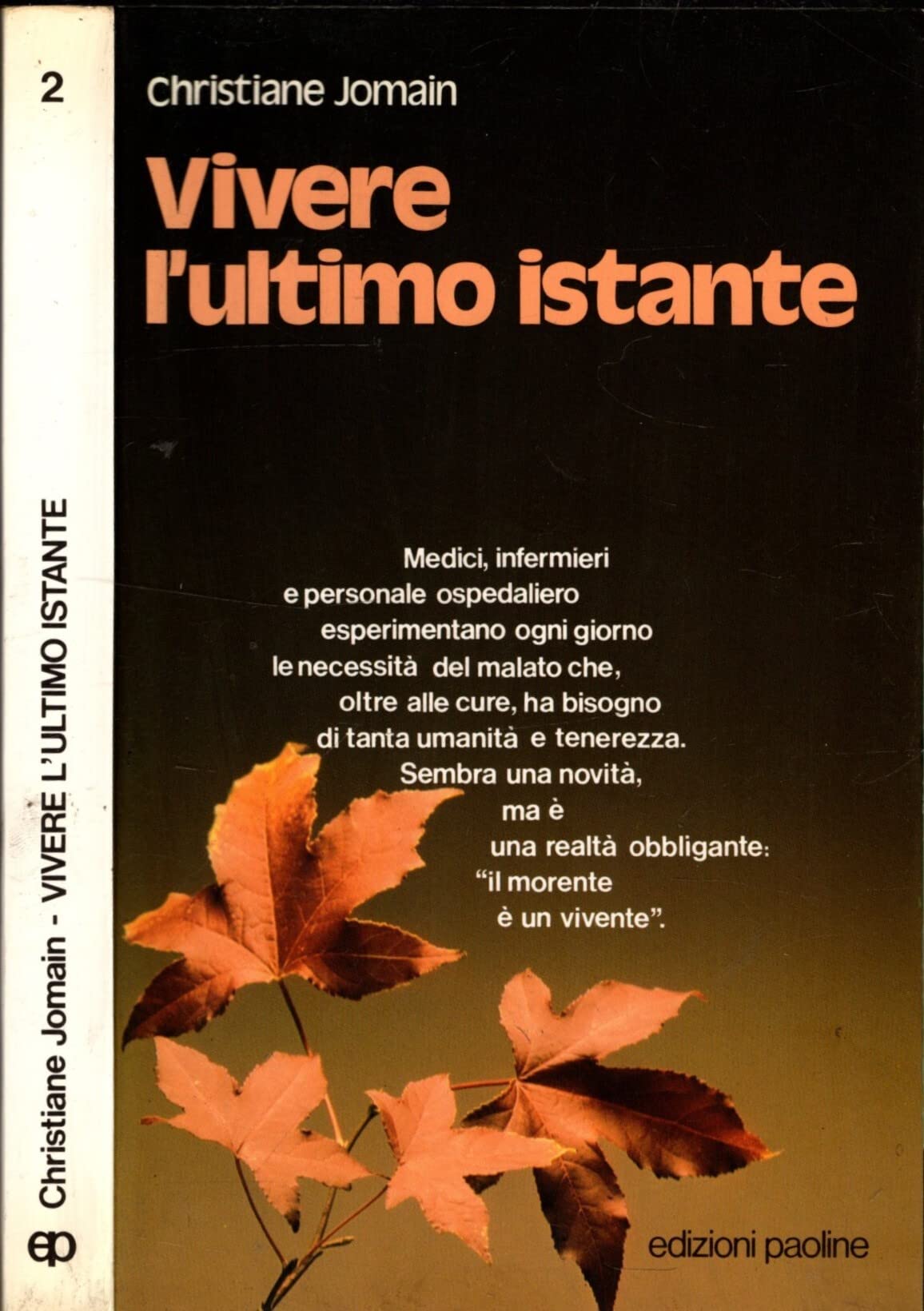 Vivere l'ultimo istante : morire nella tenerezza Books