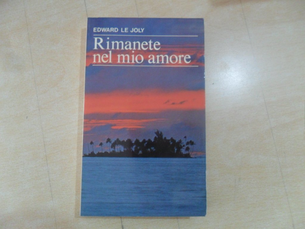 Rimanete nel mio amore. Meditazioni sul Vangelo di Giovanni book