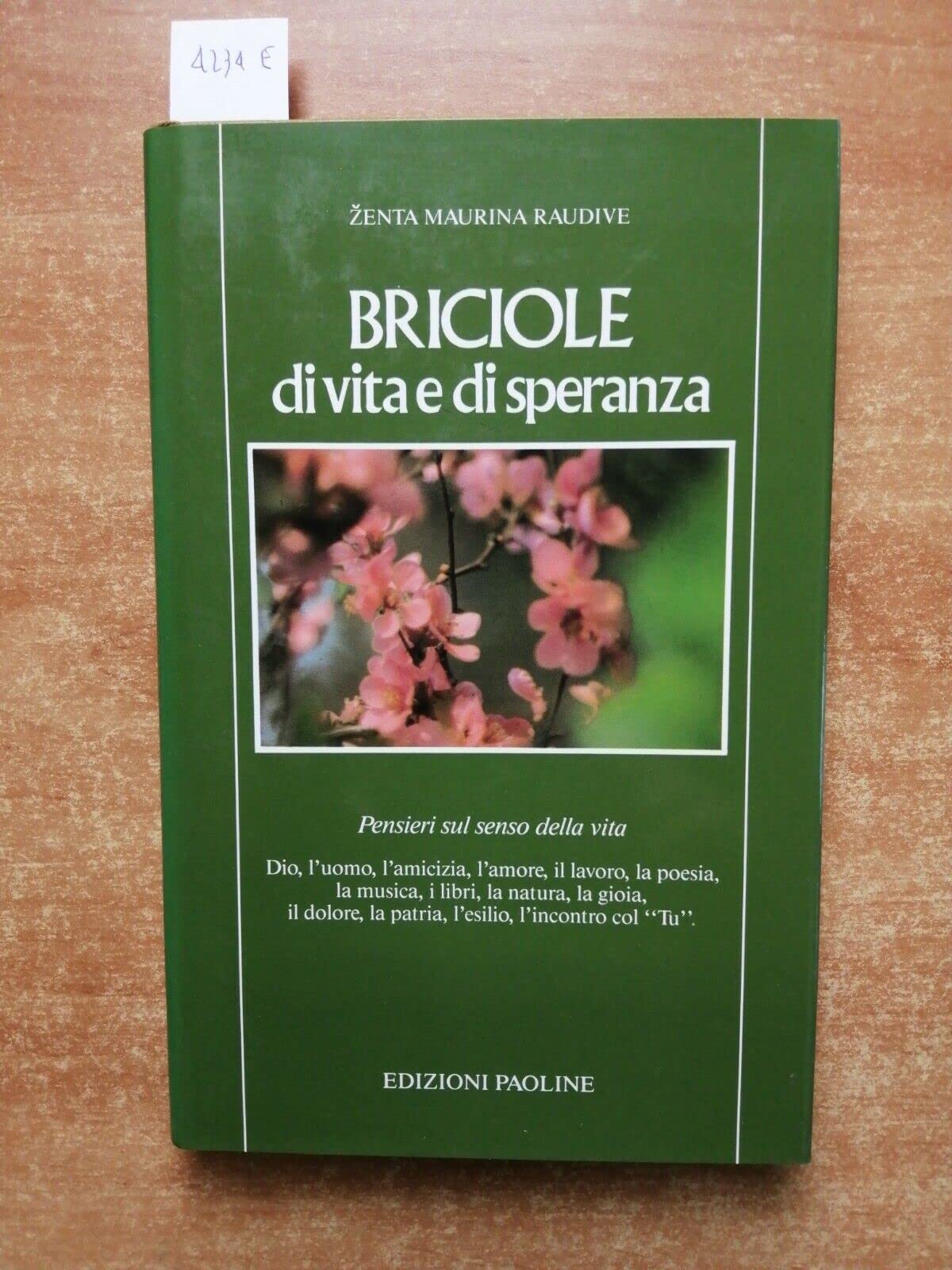Briciole di vita e di speranza. Pensieri sul senso della vita book