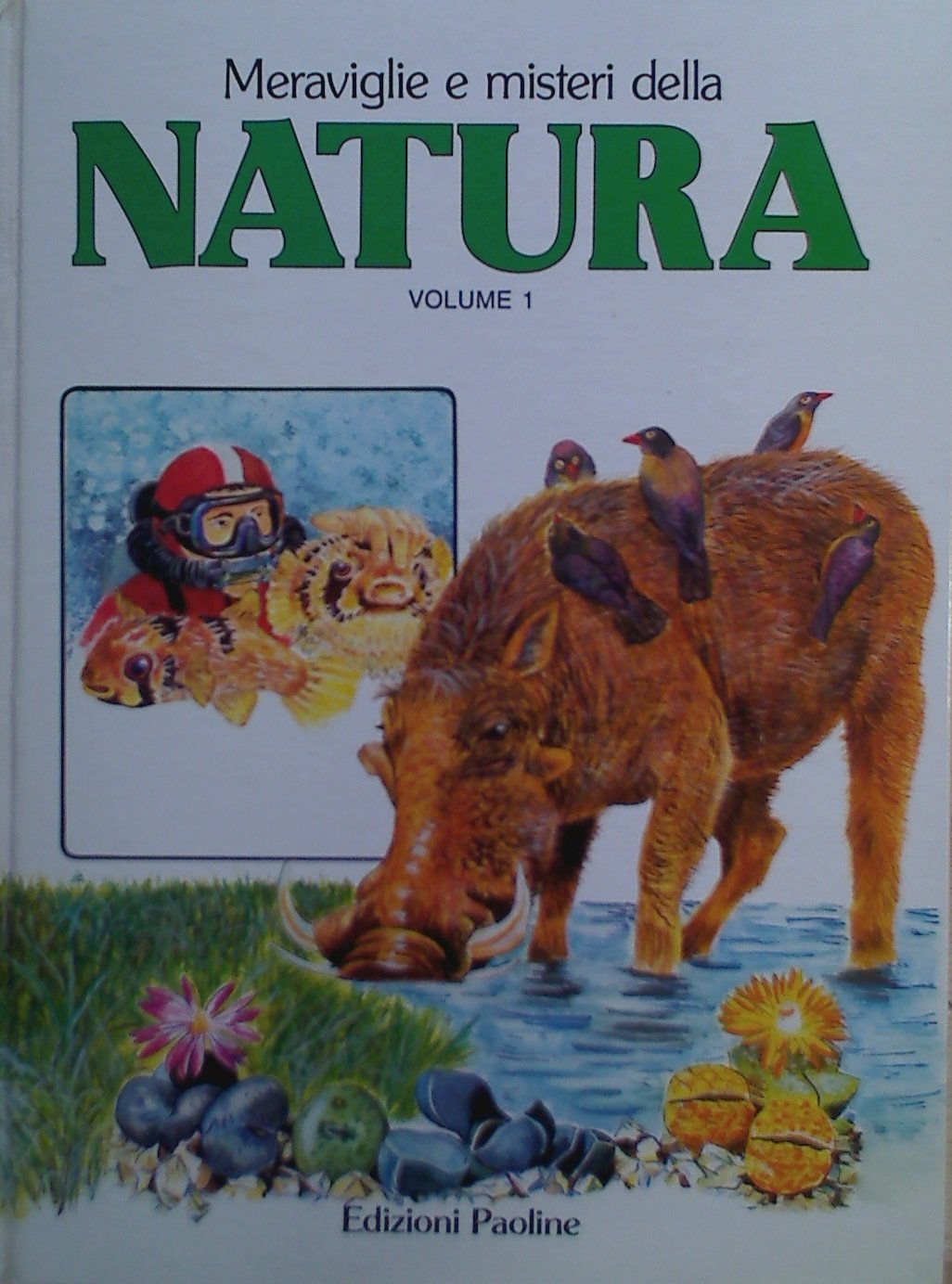 Meraviglie e misteri della natura. Oceani, piante, animali (Vol. 1) book