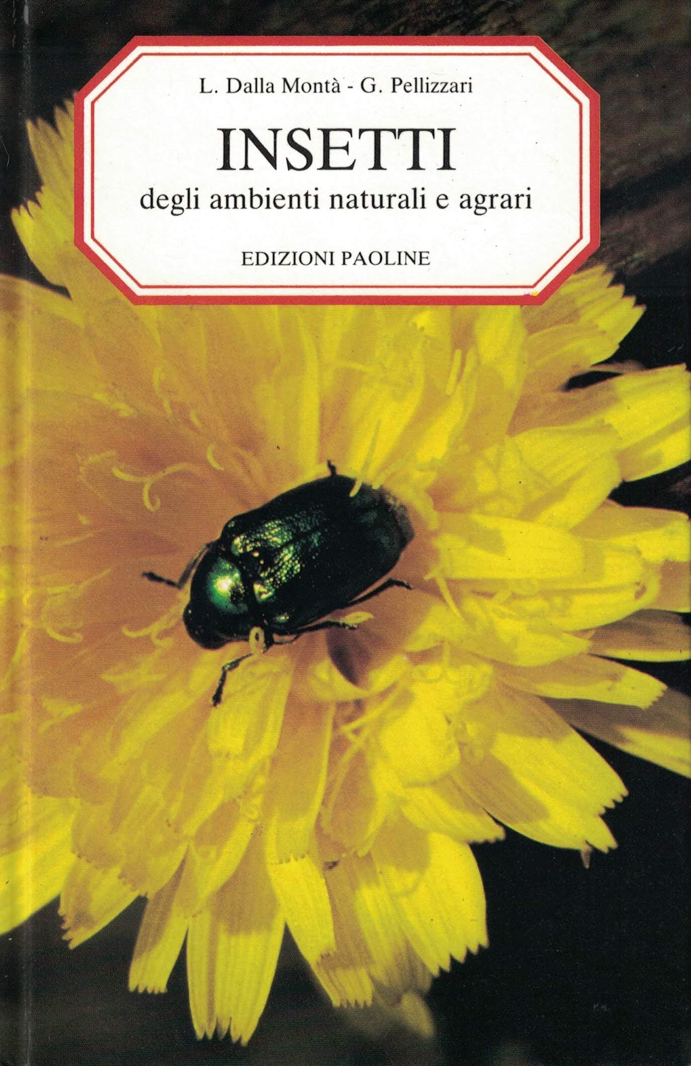 Insetti degli ambienti naturali e agrari book
