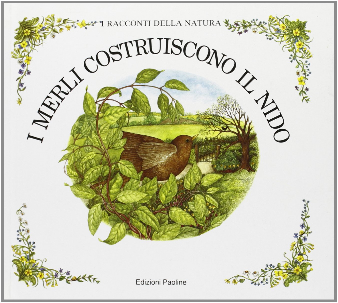 I merli costruiscono il nido (Natura vivente, Band 1) Non-fiction