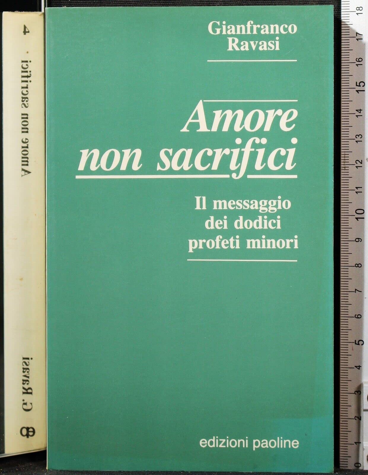 Amore non sacrifici. Il messaggio dei profeti minori (Frammenti di saggezza biblica, Band 4) Religion & Esotericism