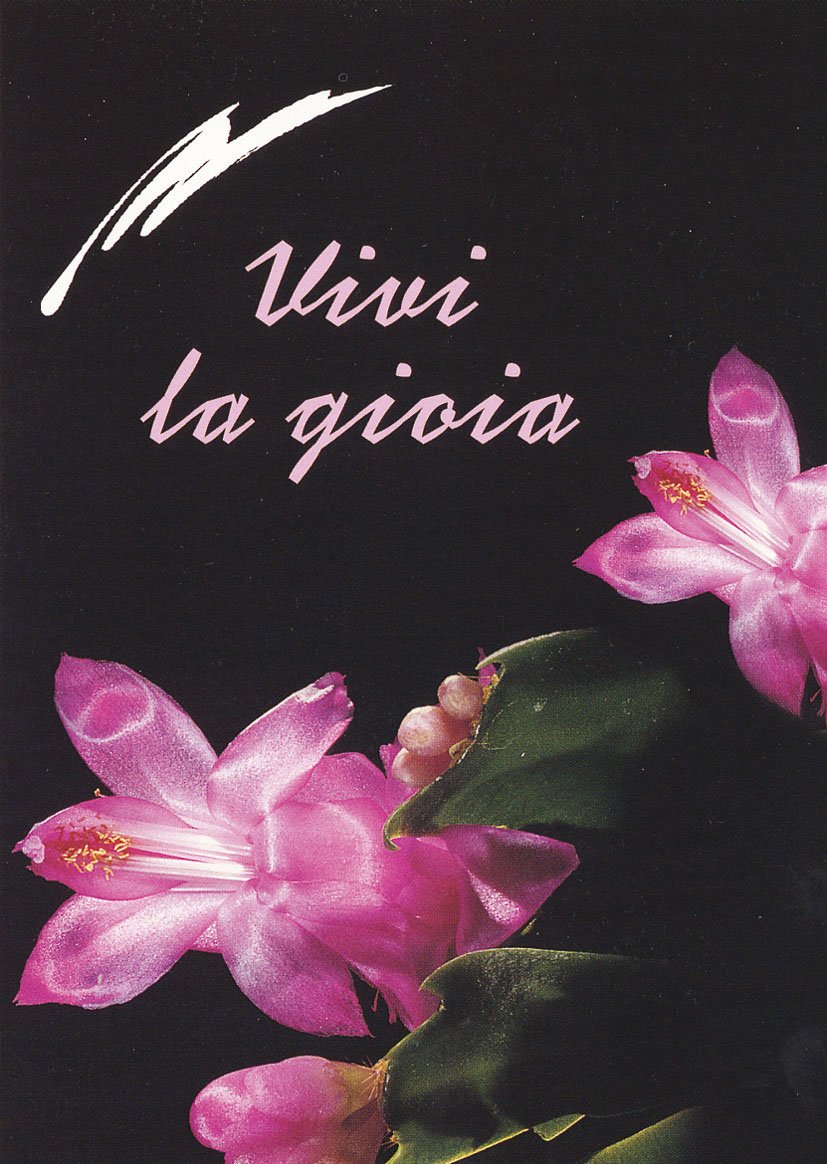 Vivi la gioia (Amico, Band 7) Religion & Esotericism
