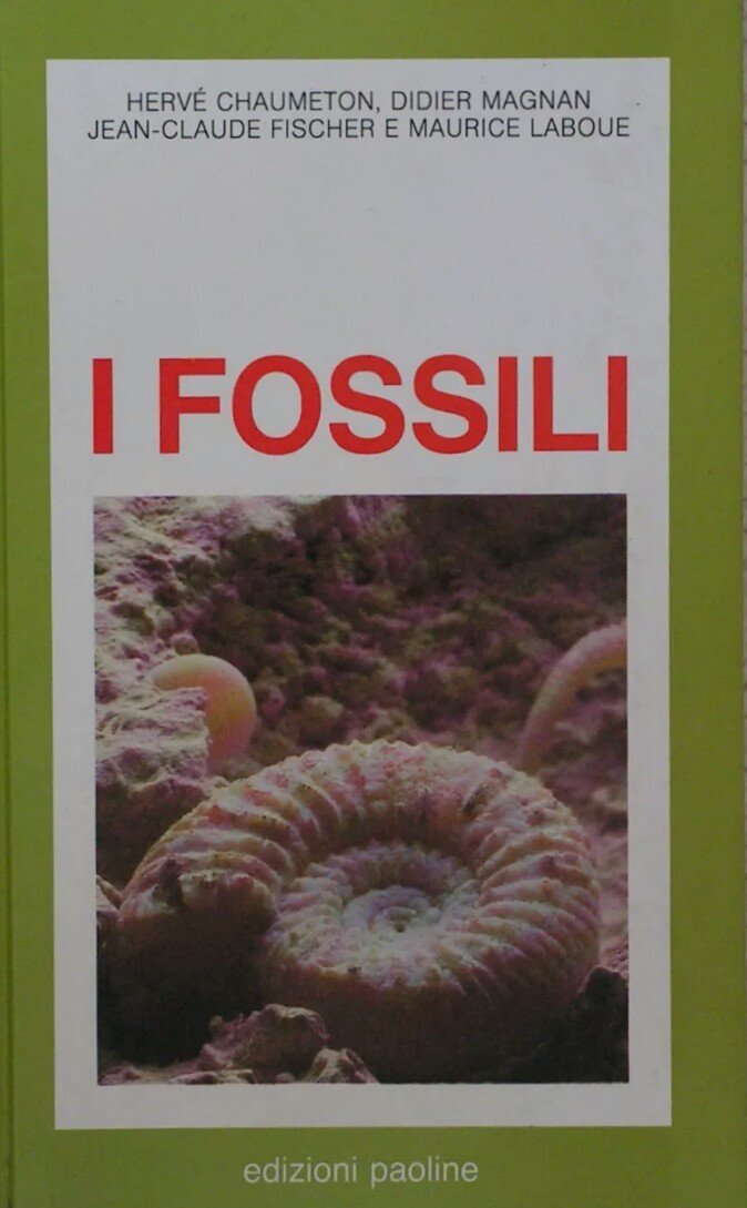 I fossili book