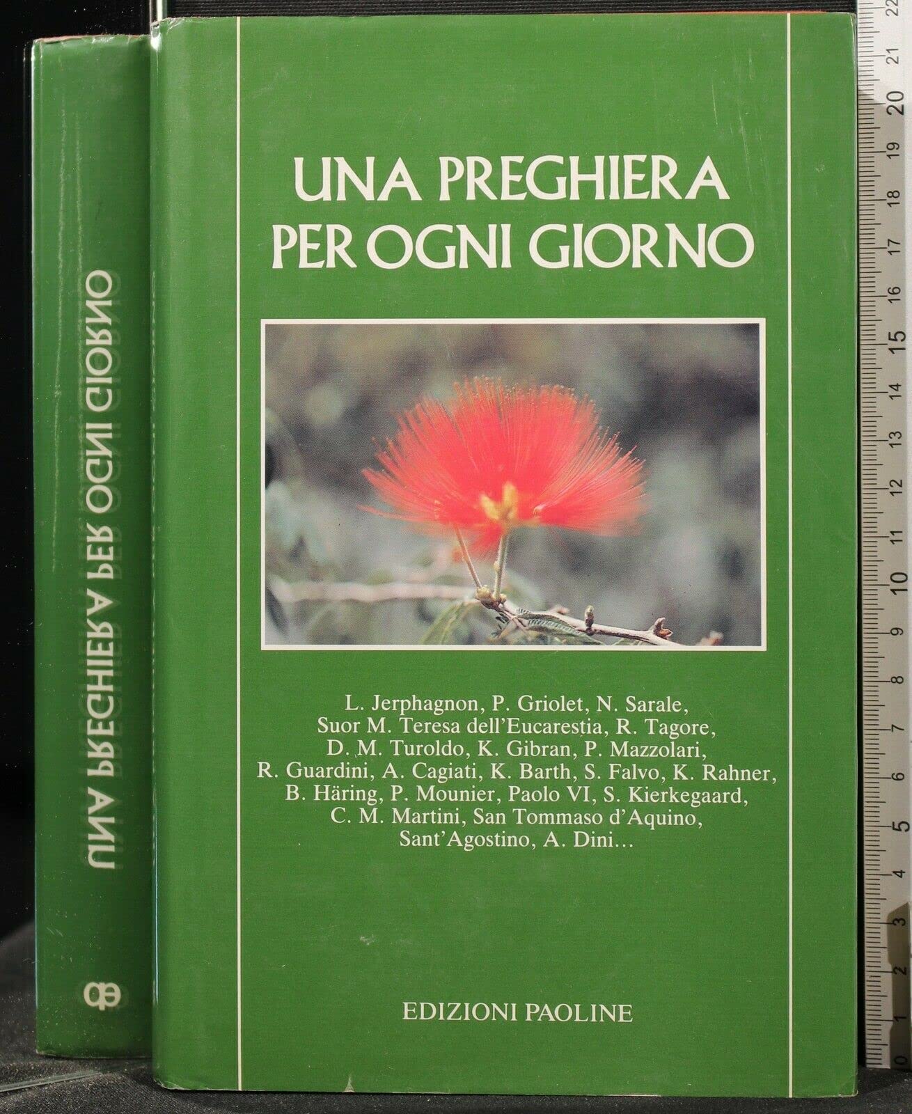 Una preghiera per ogni giorno. Breviario semplice di autori antichi e moderni (L' antica fonte, Band 5) Religion & Esotericism