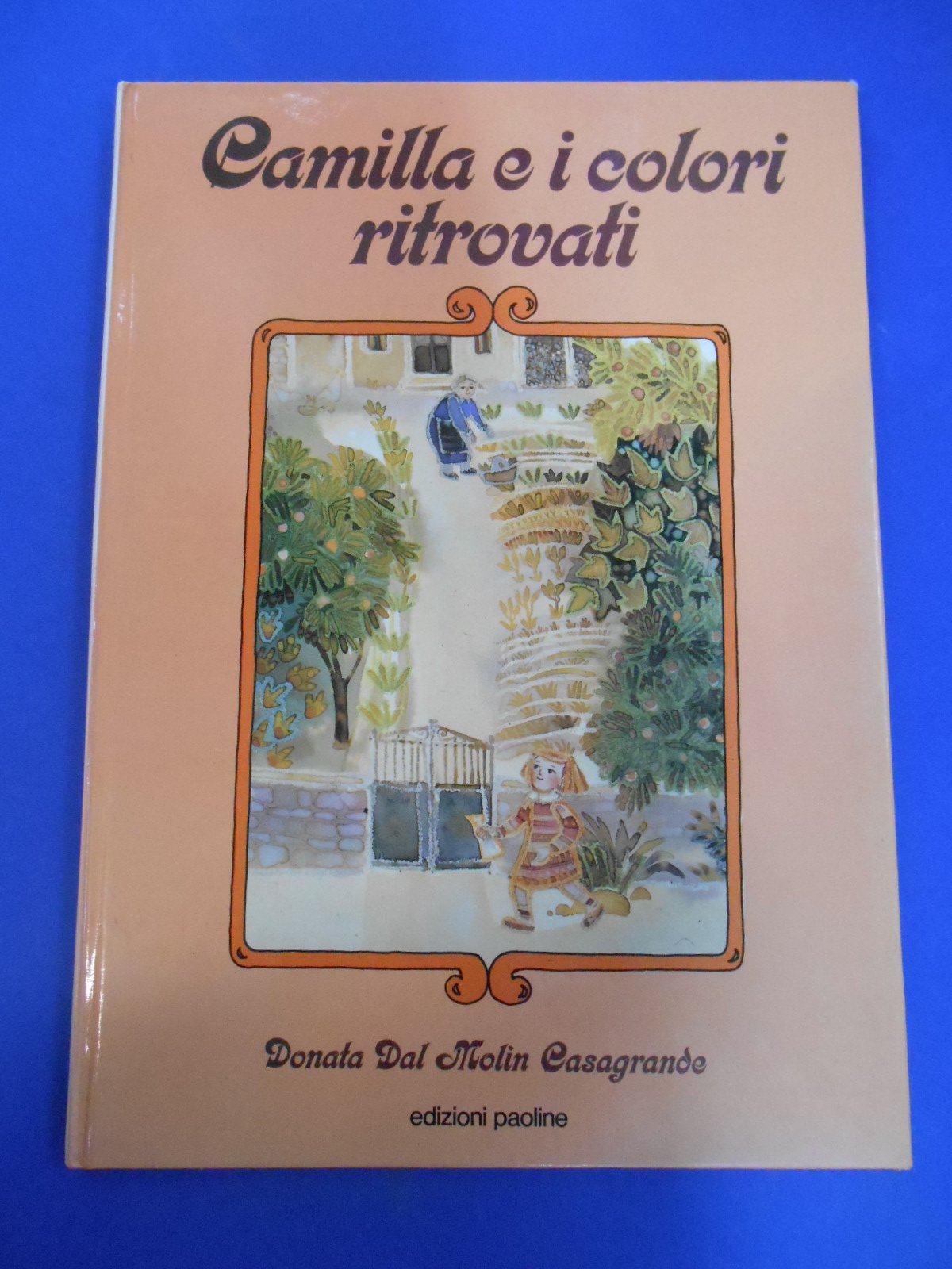Camilla e i colori ritrovati book