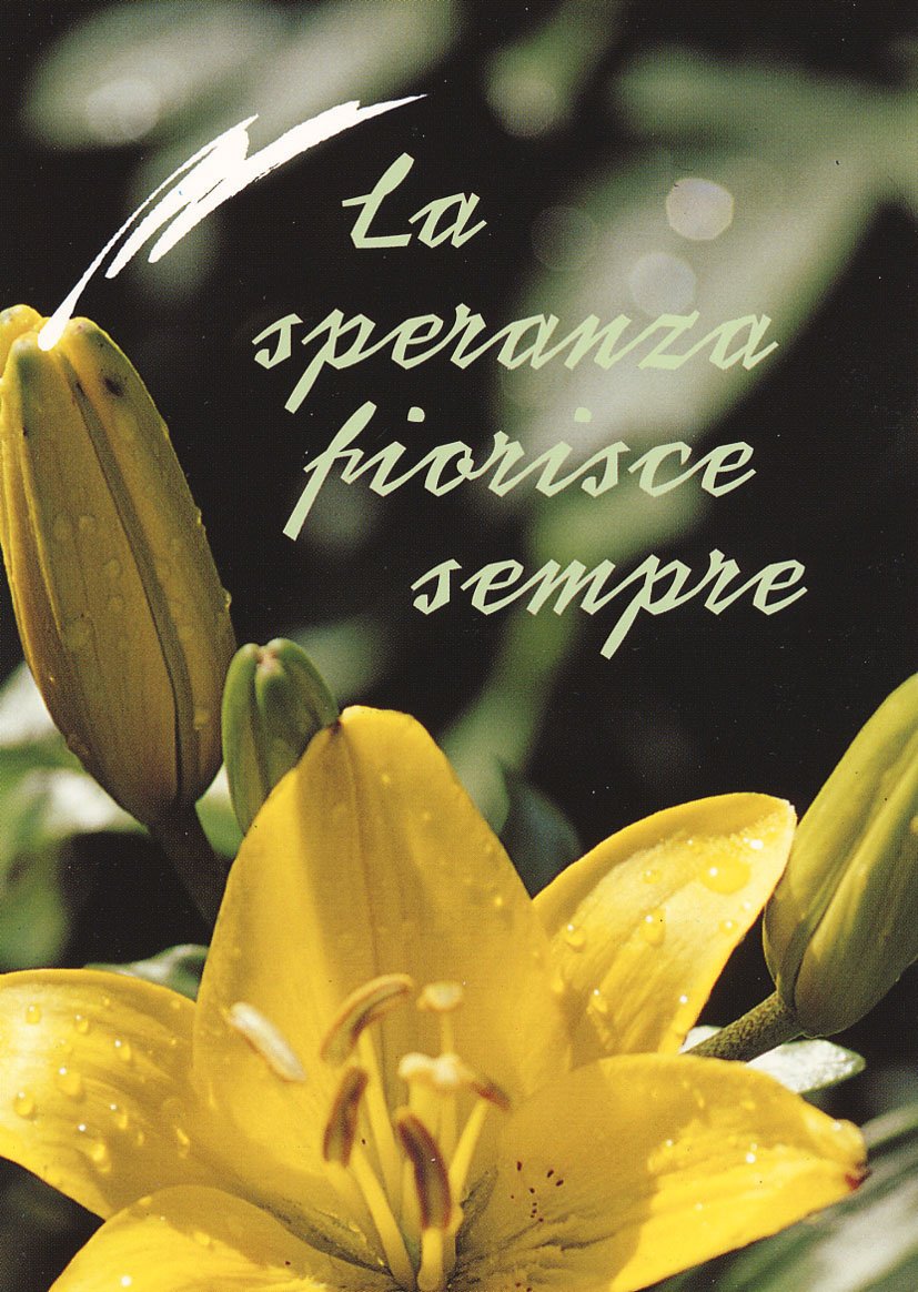 La speranza fiorisce sempre book