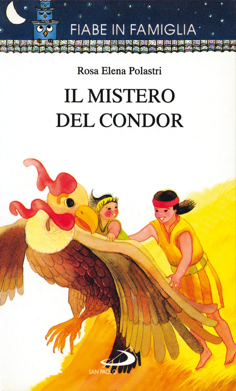 Il mistero del condor book