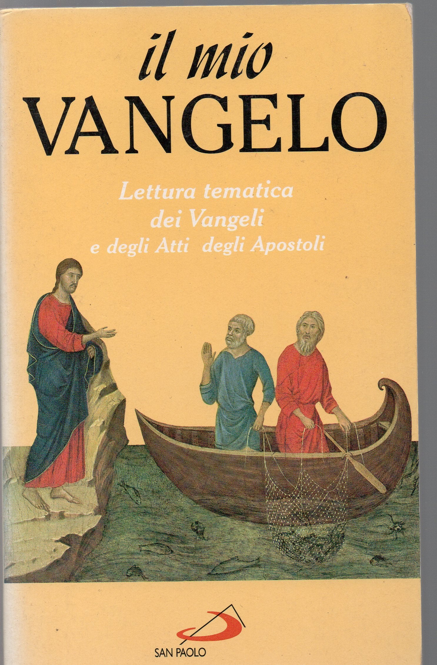 Il mio vangelo. Lettura tematica dei vangeli e degli Atti degli Apostoli book