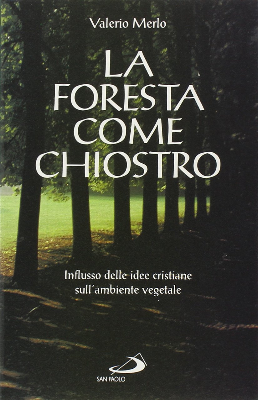La foresta come chiostro. Influsso delle idee cristiane sull'ambiente vegetale (Problemi e dibattiti, Band 34) Religion & Esotericism