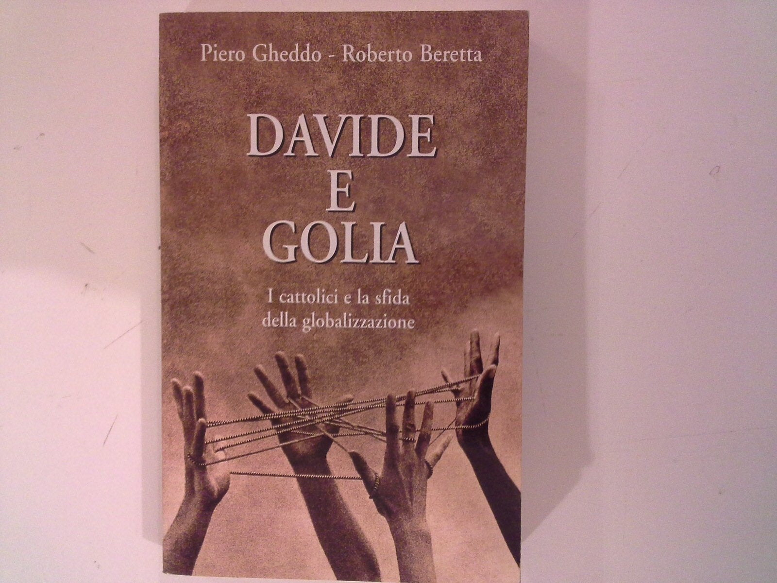 Davide e Golia. I cattolici e la sfida della globalizzazione book