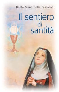 Il sentiero di santità book