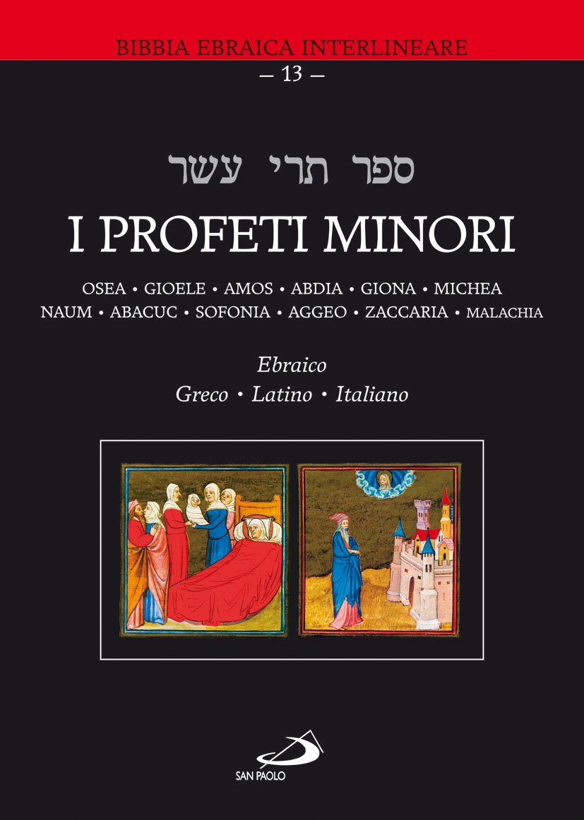 I profeti minori. Ediz. multilingue (Bibbia. Antico Testamento. Testi) Film, Art & Culture