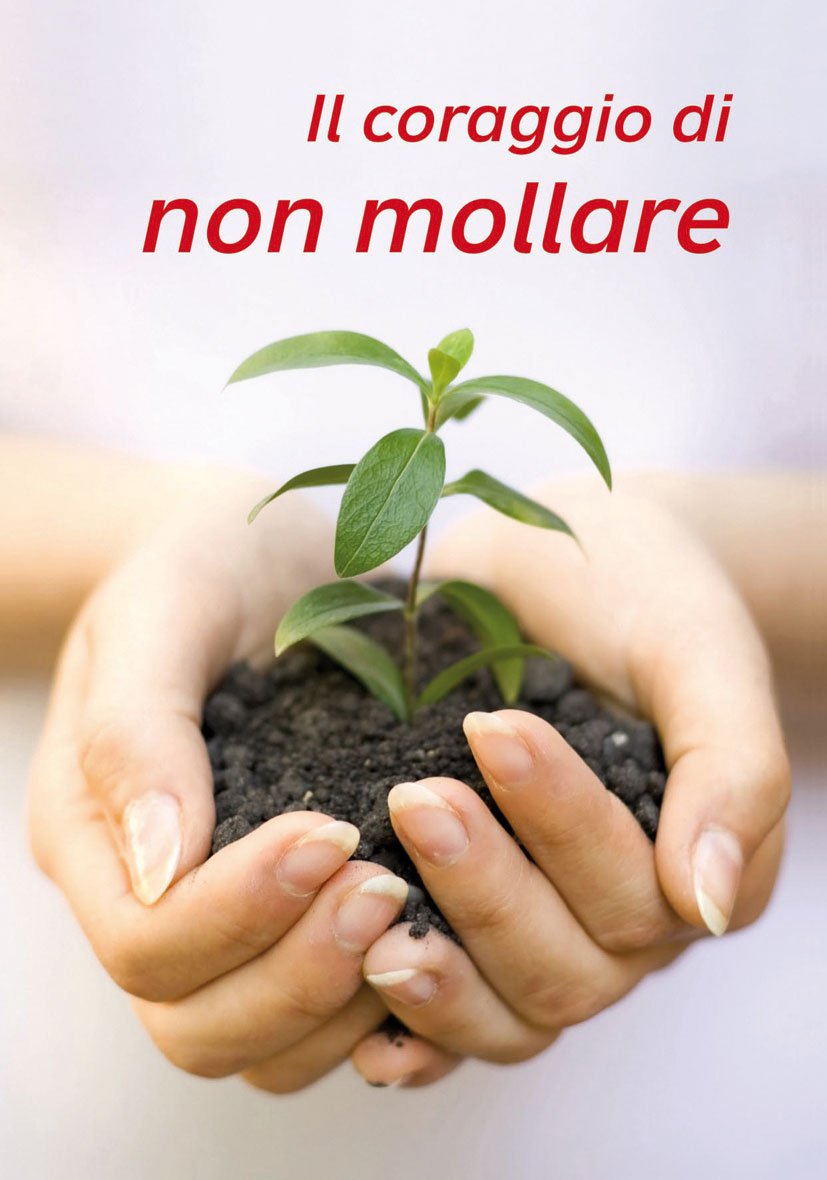 Il coraggio di non mollare (Amico, Band 161) Religion & Esotericism