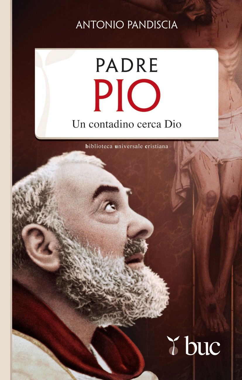Padre Pio. Un contadino cerca Dio (Biblioteca universale cristiana, Band 202) Politics & History