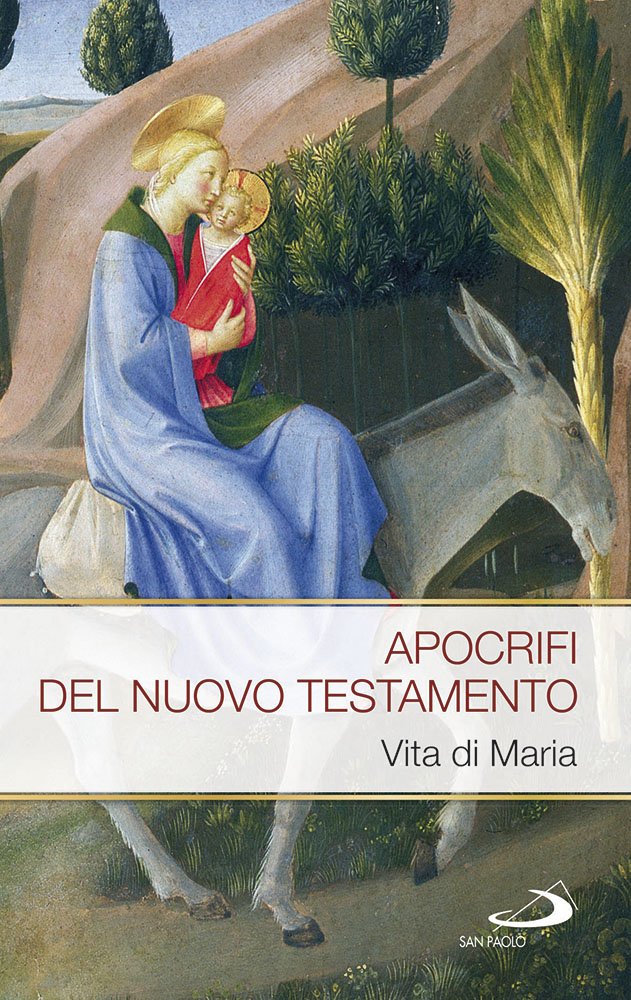 Apocrifi del Nuovo Testamento. Vita di Maria book