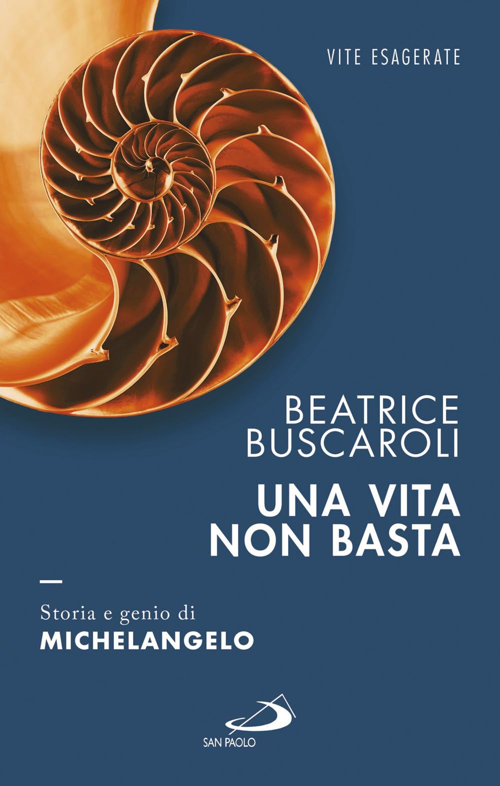 Una vita non basta. Storia e genio di Michelangelo book