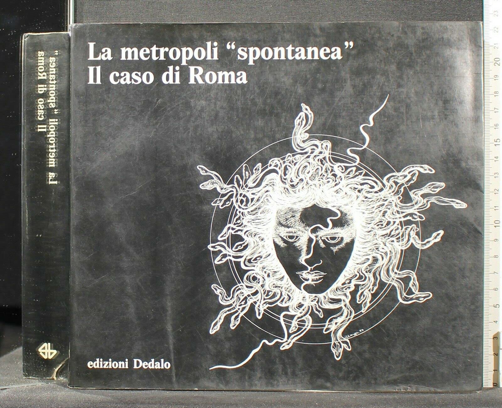 La metropoli spontanea. Il caso di Roma (Il Politecnico, Band 18) Architecture