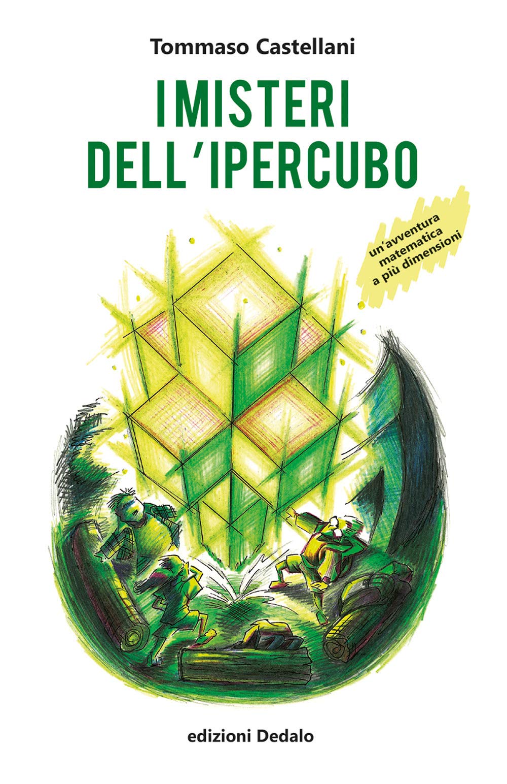 I misteri dell'ipercubo. Un'avventura matematica a più dimensioni book