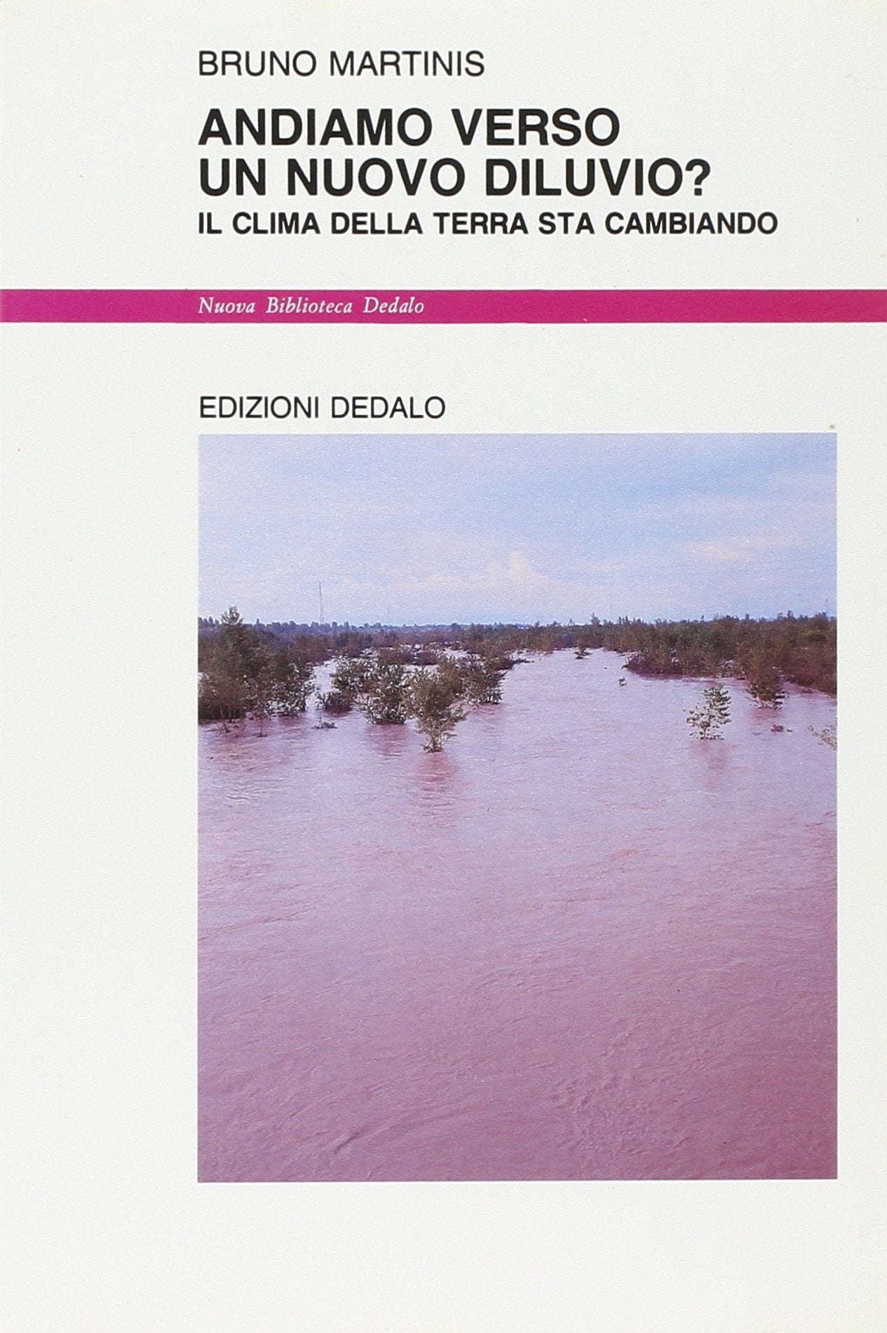 Andiamo verso un nuovo diluvio? Il clima della terra sta cambiando book