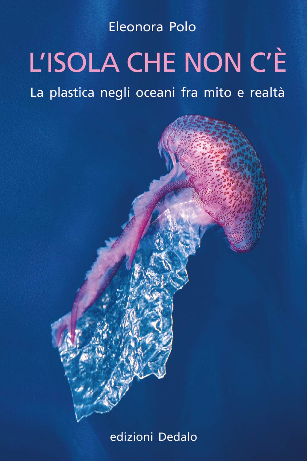 L'isola che non c'è. La plastica negli oceani fra mito e realtà (La scienza è facile, Band 88) Mathematics