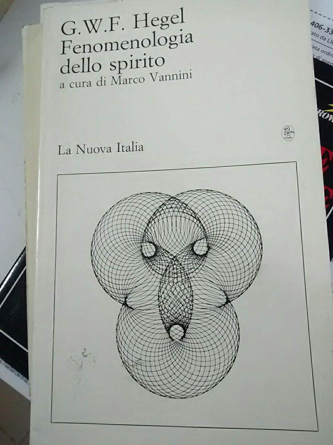 Fenomenologia dello spirito. Antologia book