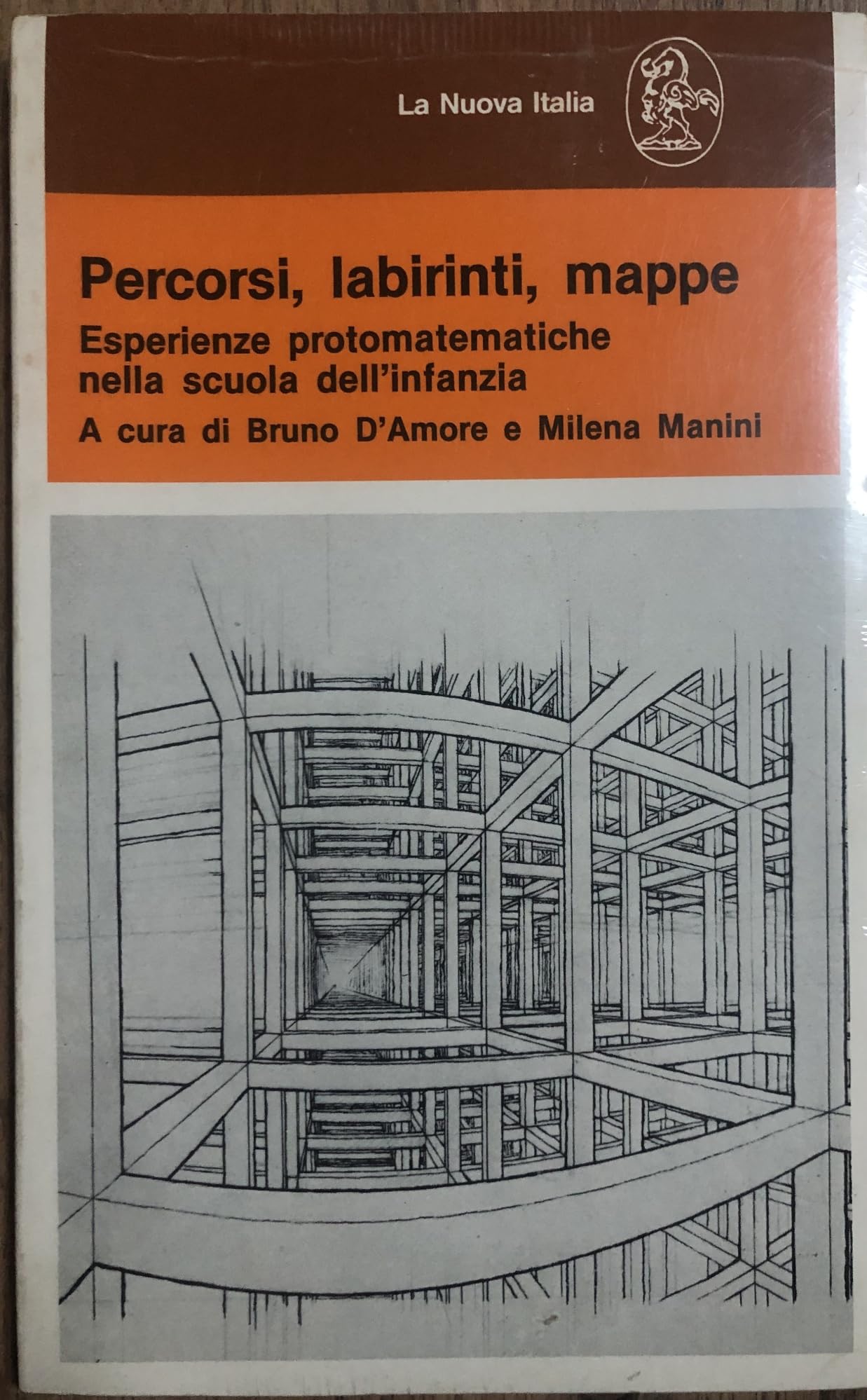 Percorsi, labirinti, mappe. Esperienze proto-matematiche nella scuola dell'infanzia book